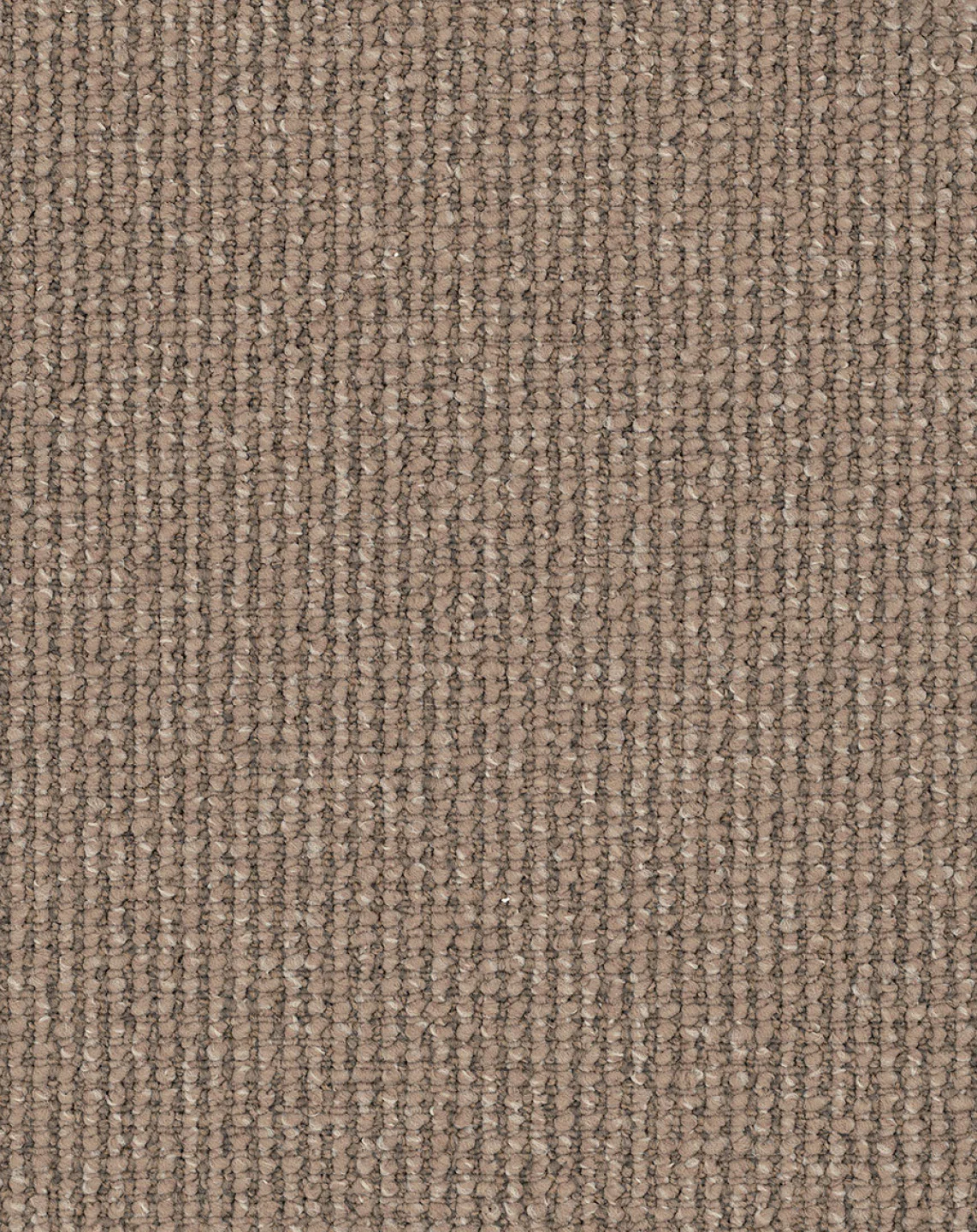 Acacia Hill - Image 3