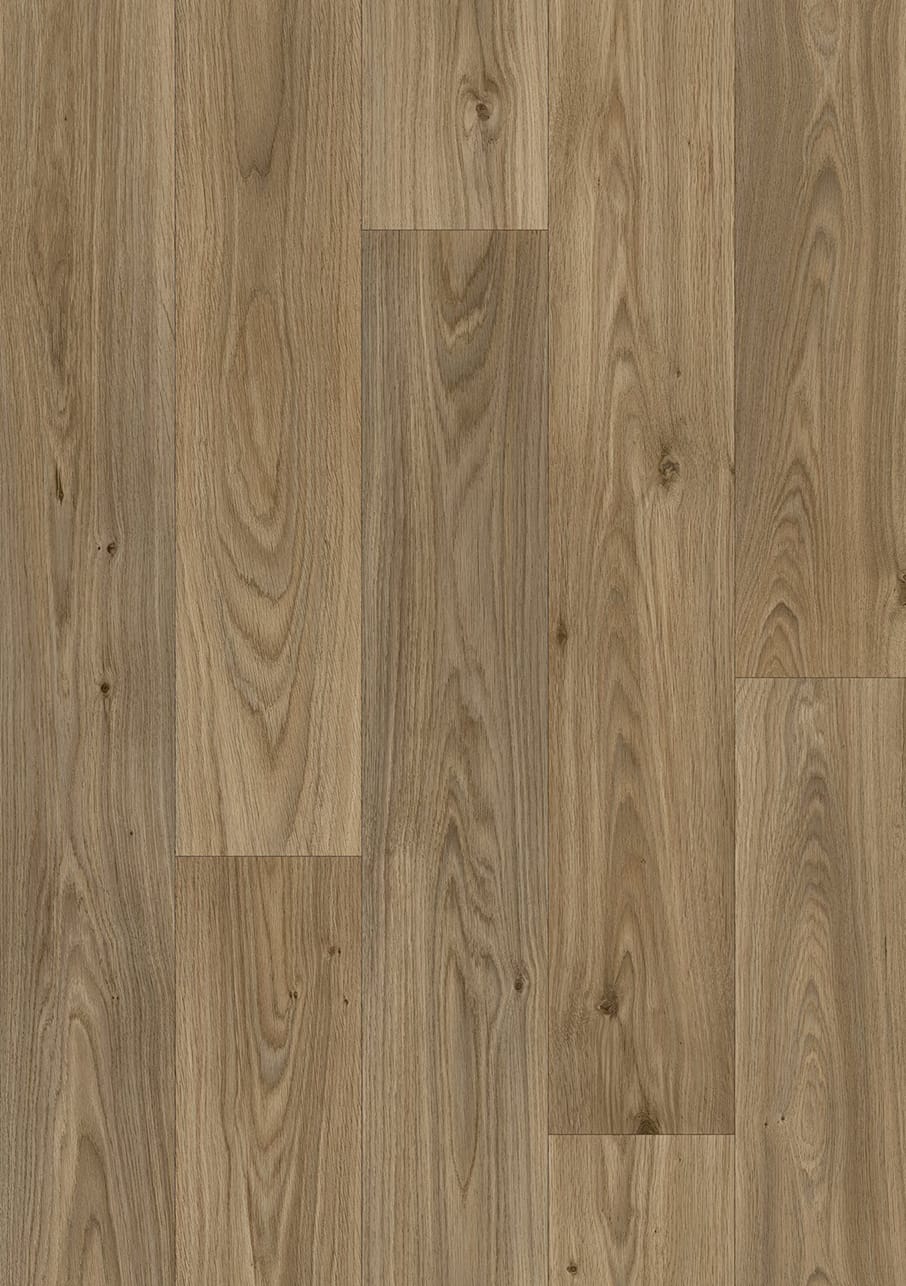 Ambient - Image 8