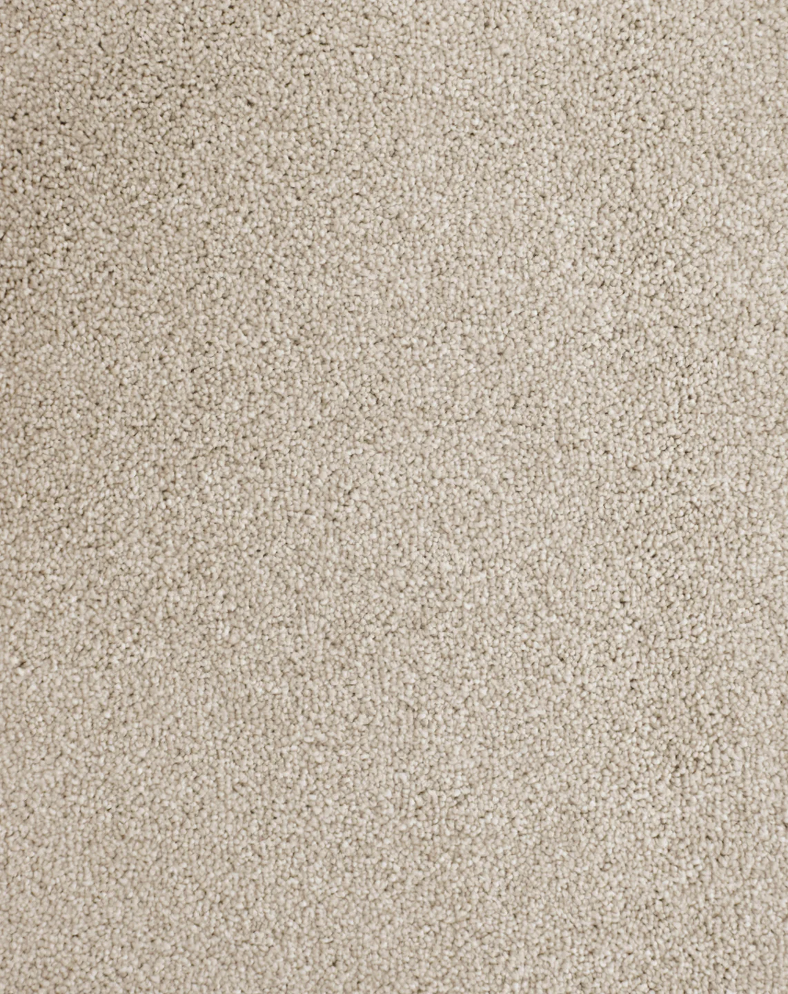 Anvil - Image 11