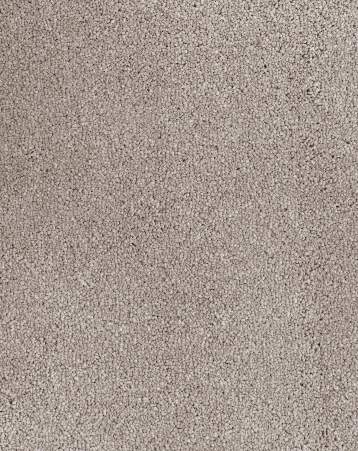 Anvil - Image 12