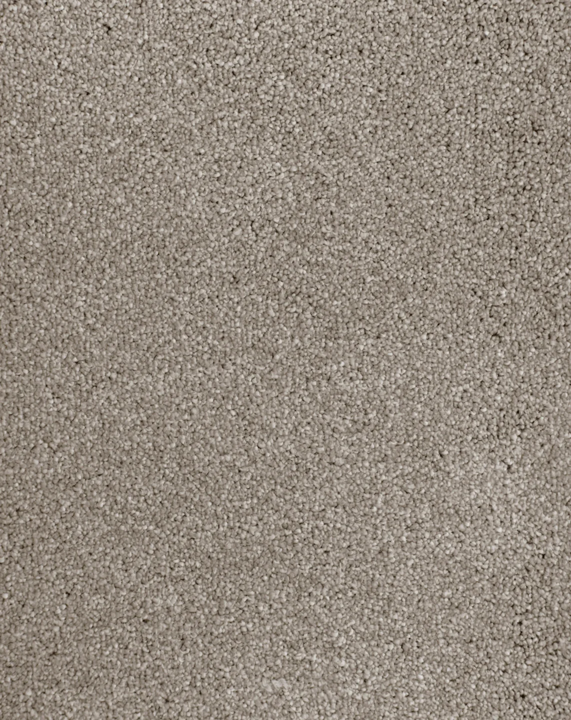 Anvil - Image 13