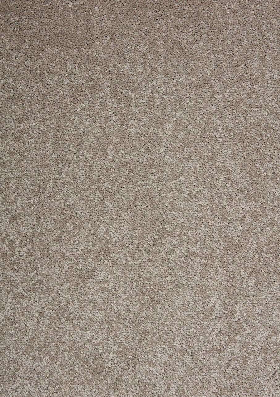 Anvil - Image 5