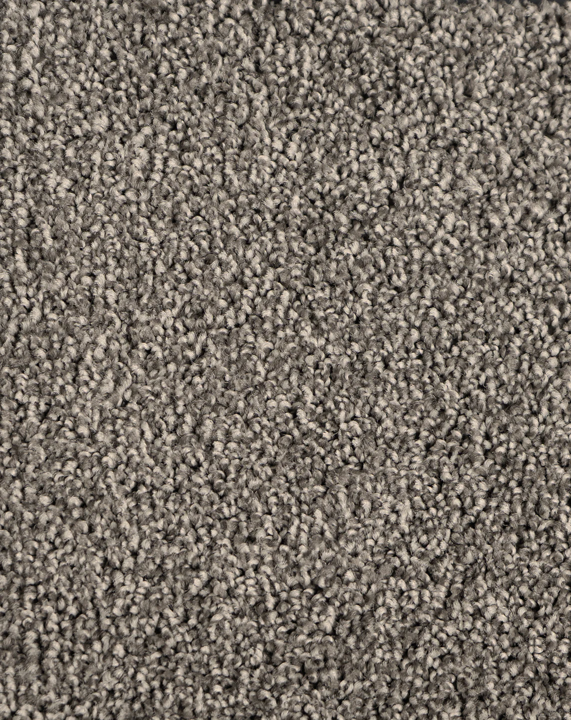 Astelia - Image 10