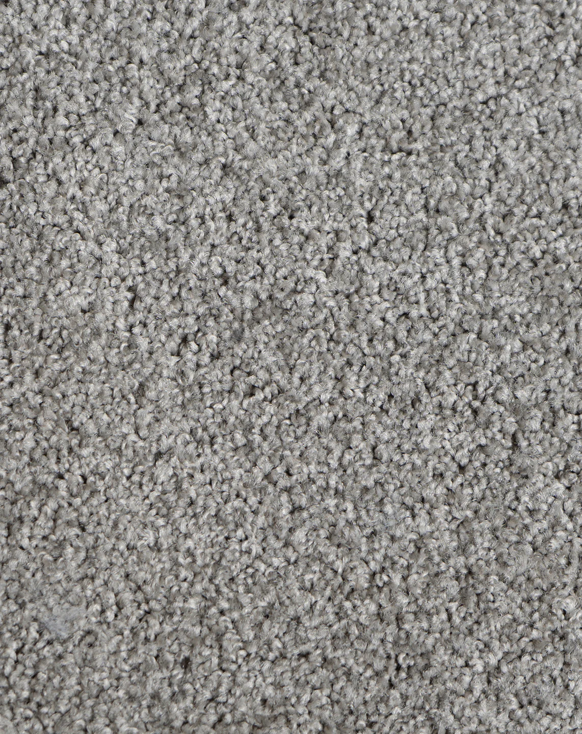 Astelia - Image 3