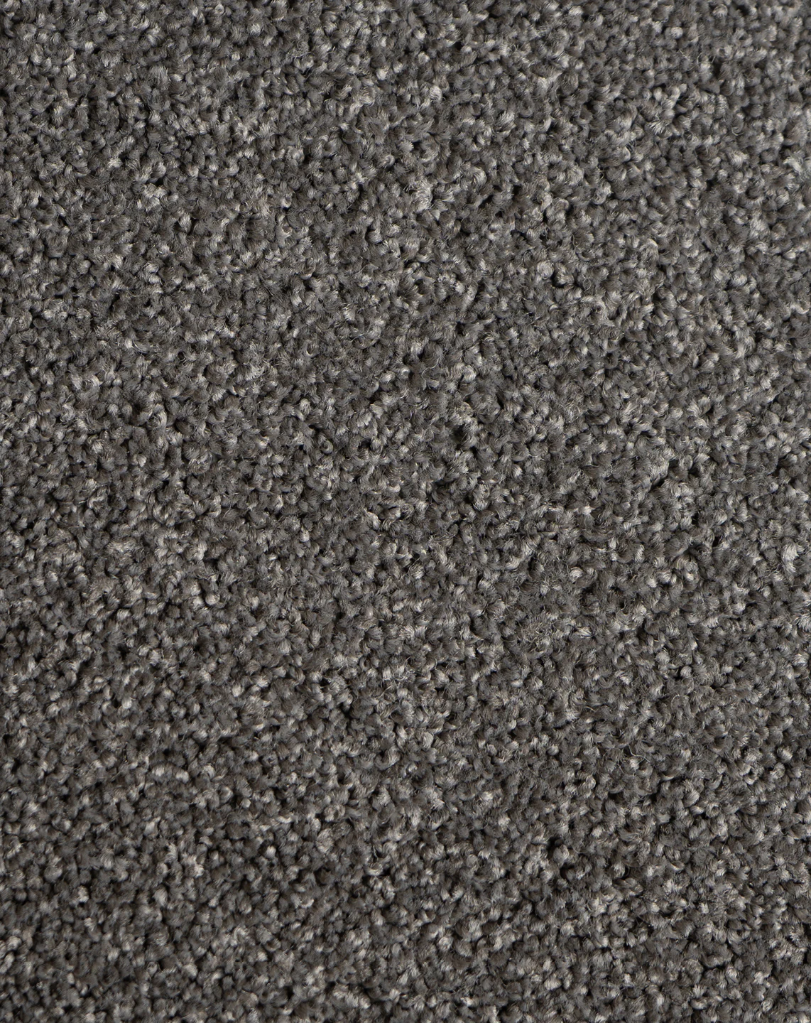 Astelia - Image 4