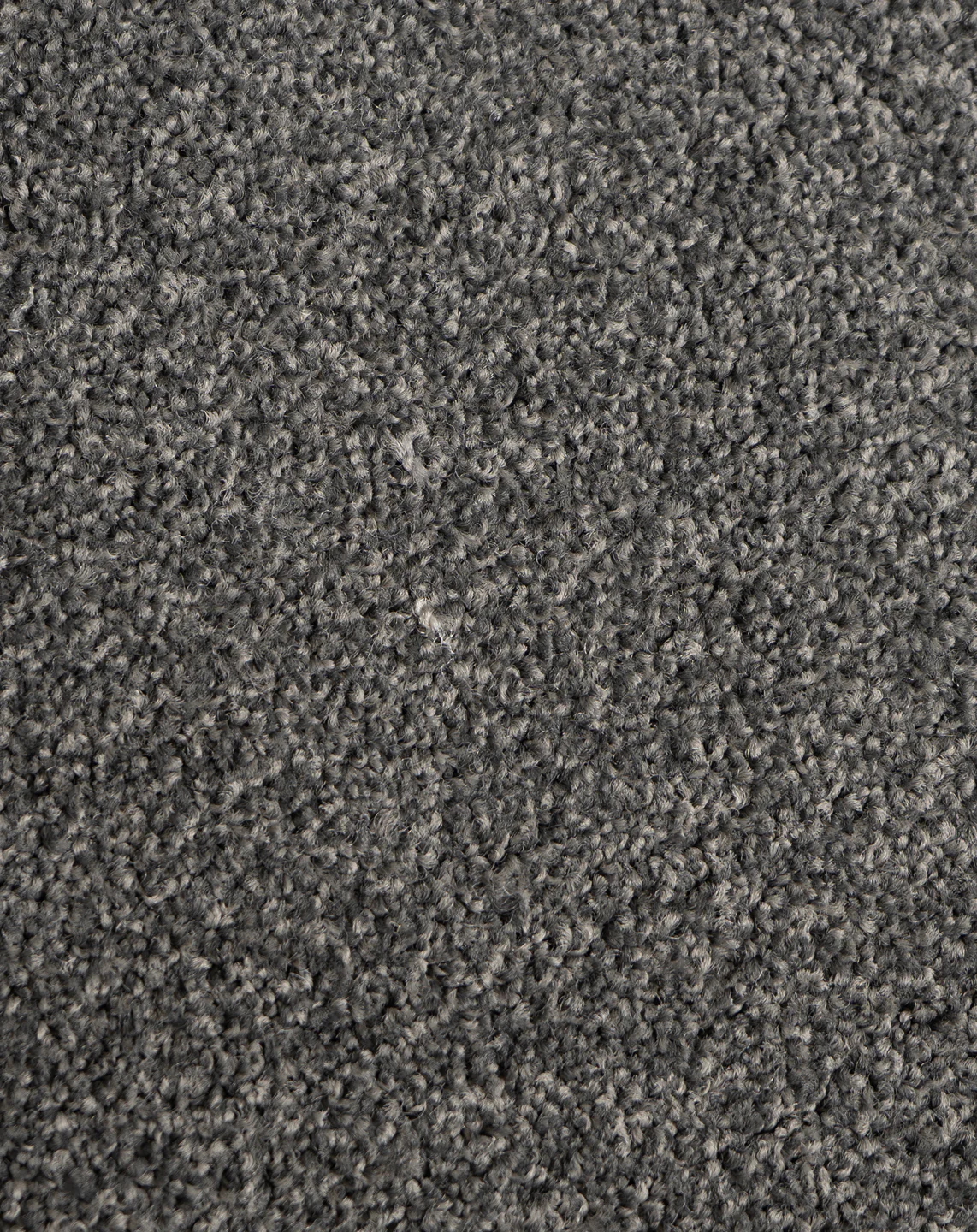 Astelia - Image 6
