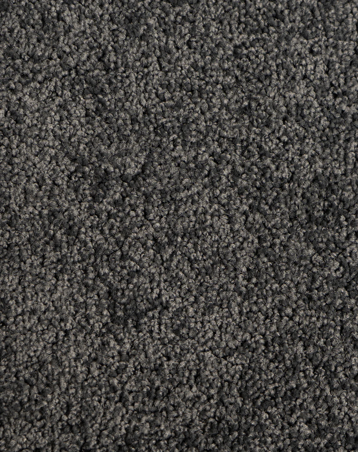 Astelia - Image 7