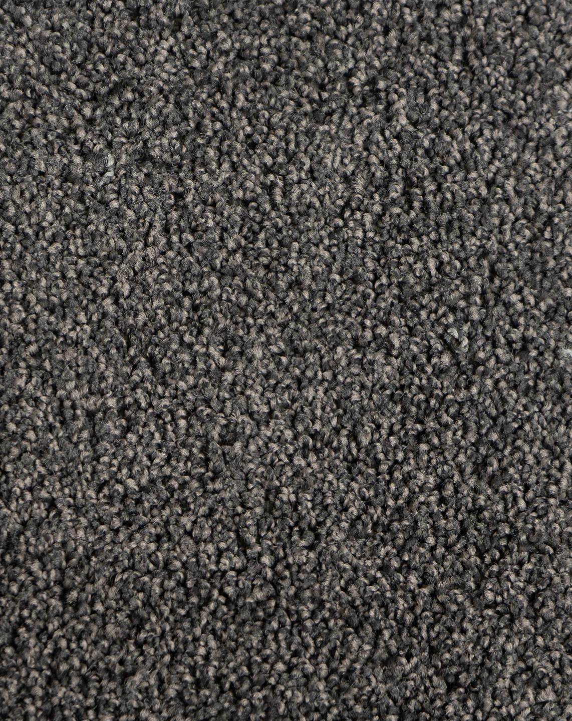 Astelia - Image 8