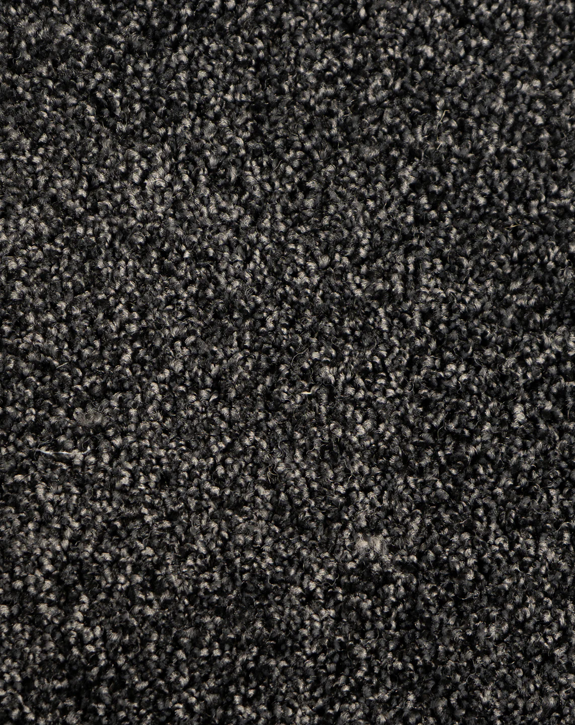 Astelia - Image 9