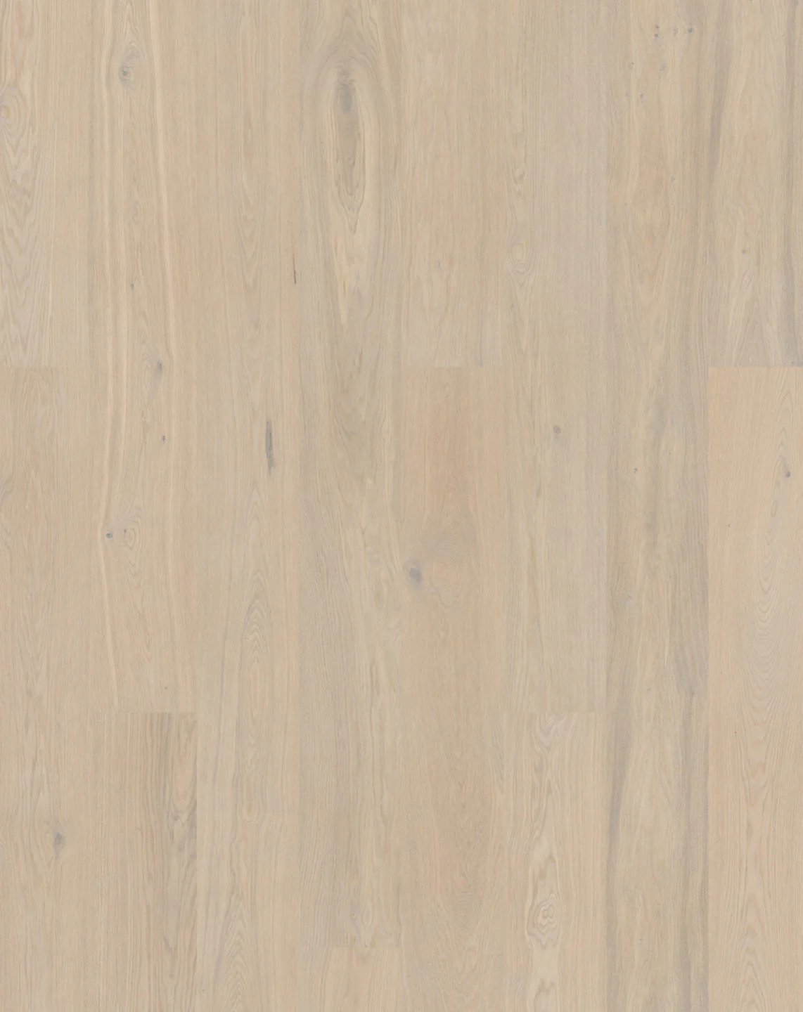Bjelin L - Image 6
