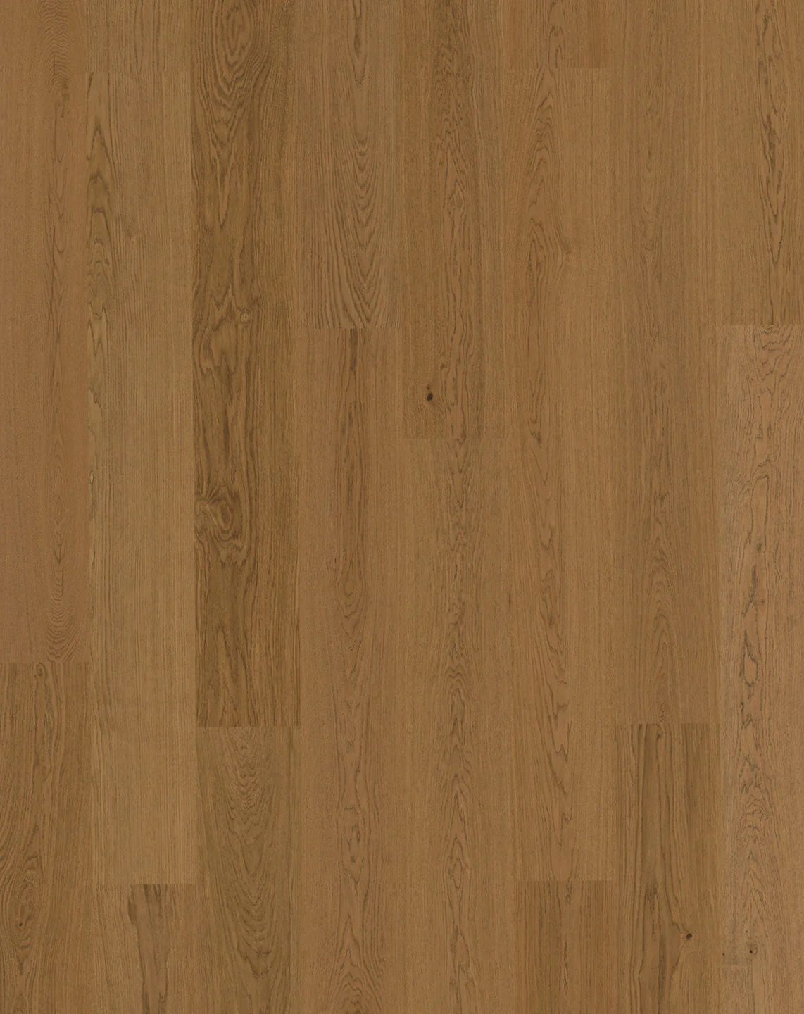 Bjelin S - Image 10