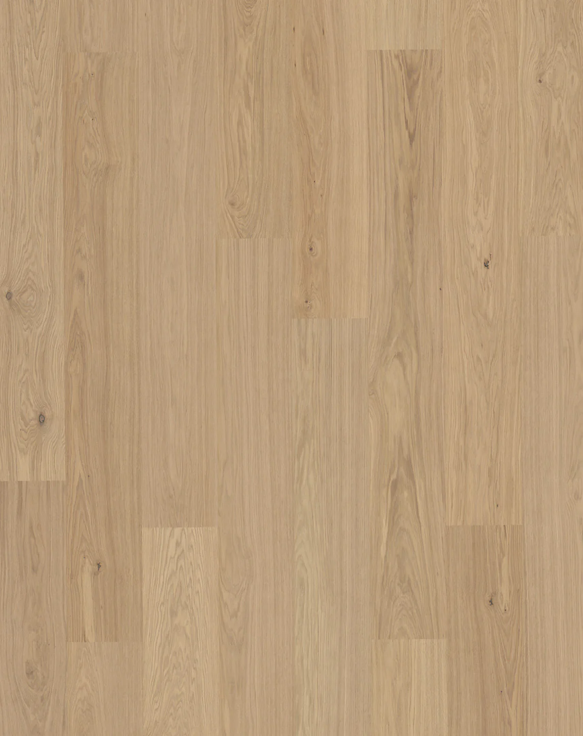 Bjelin S - Image 3