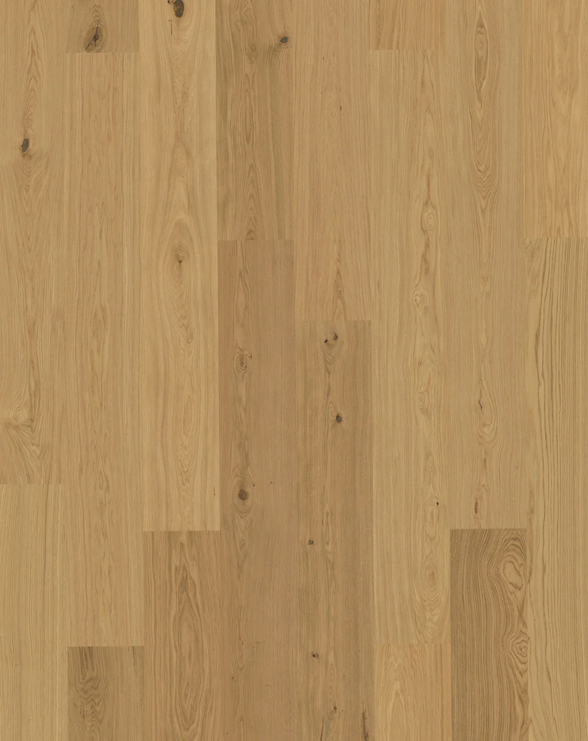 Bjelin S - Image 5