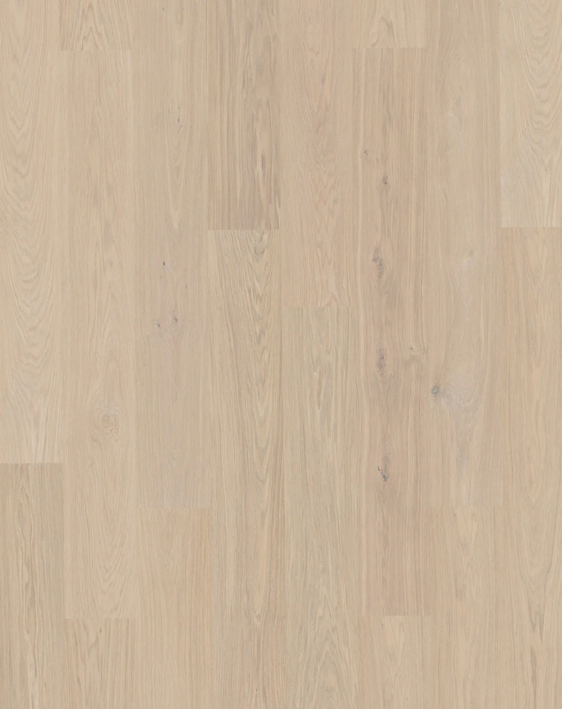 Bjelin S - Image 8