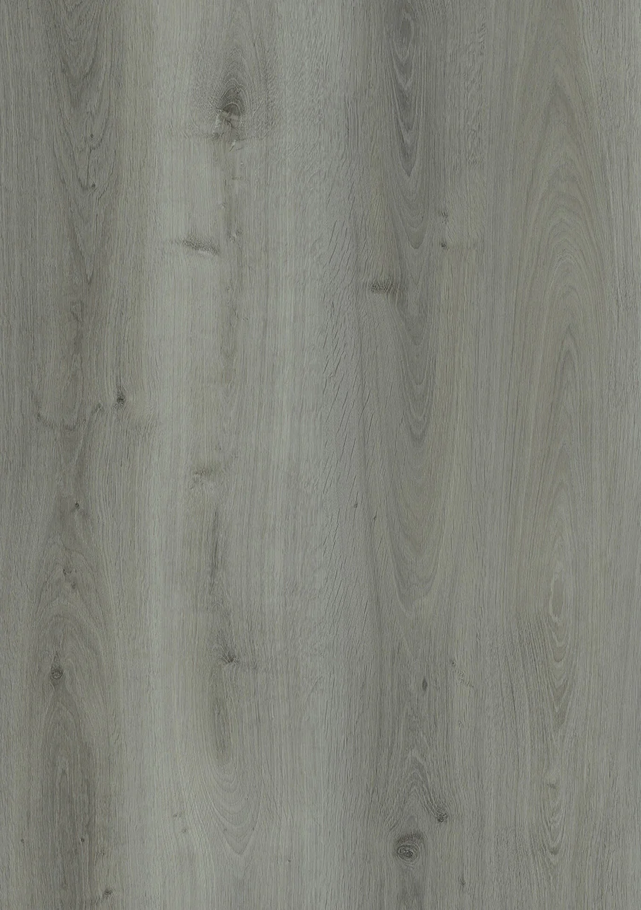 Express - Image 3