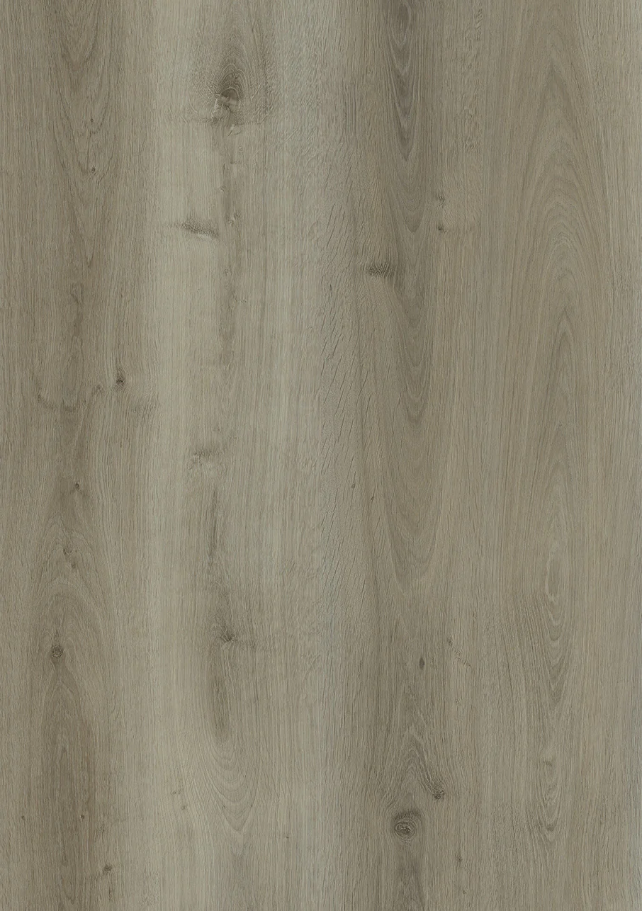 Express - Image 4
