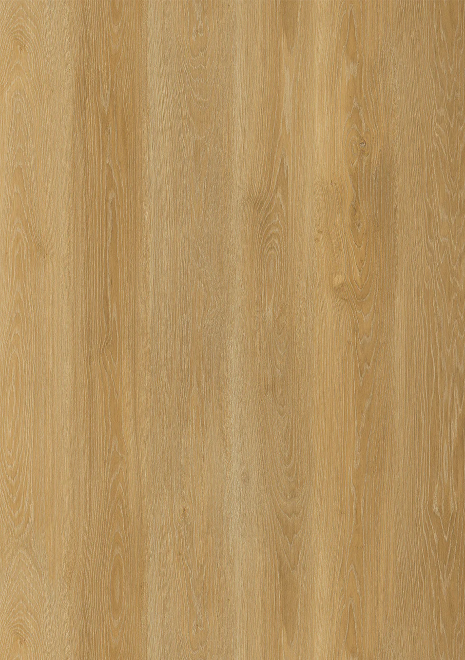 Express - Image 5