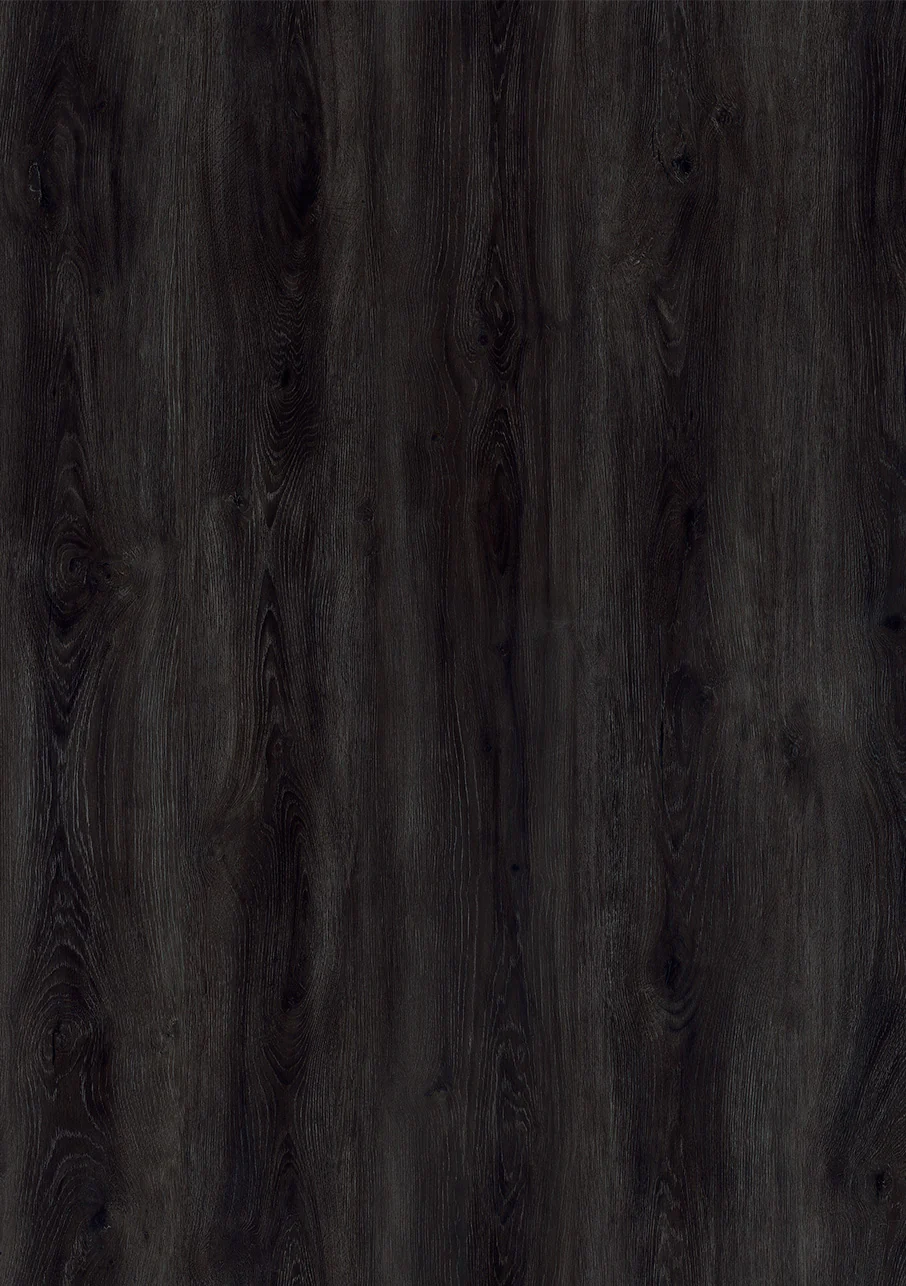 Express - Image 6