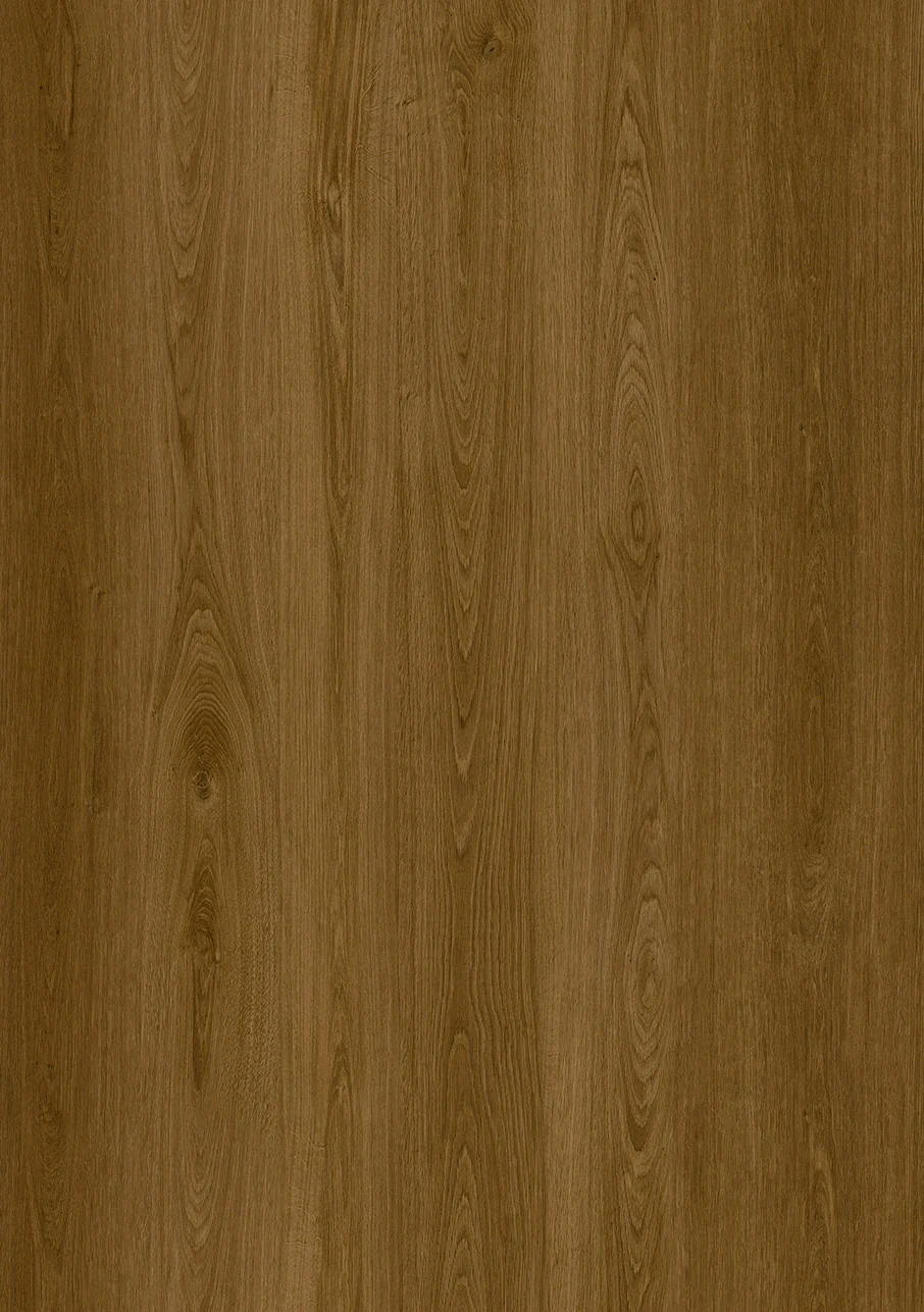 Express - Image 7
