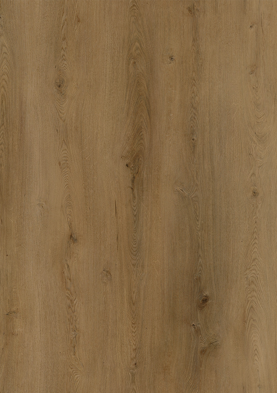 Express - Image 8