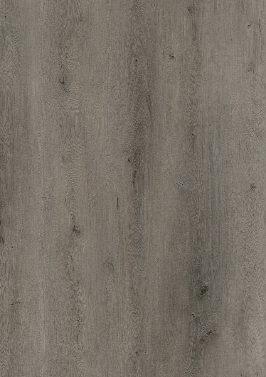 Express - Image 9