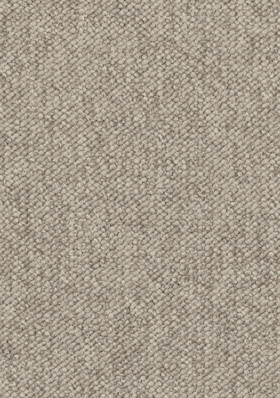 Genesis - Image 5
