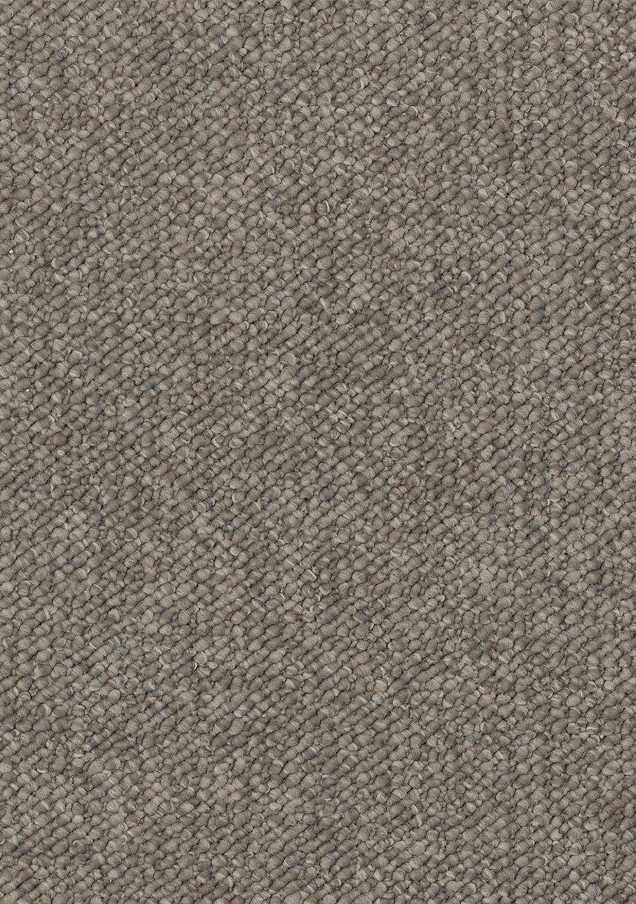 Genesis - Image 7