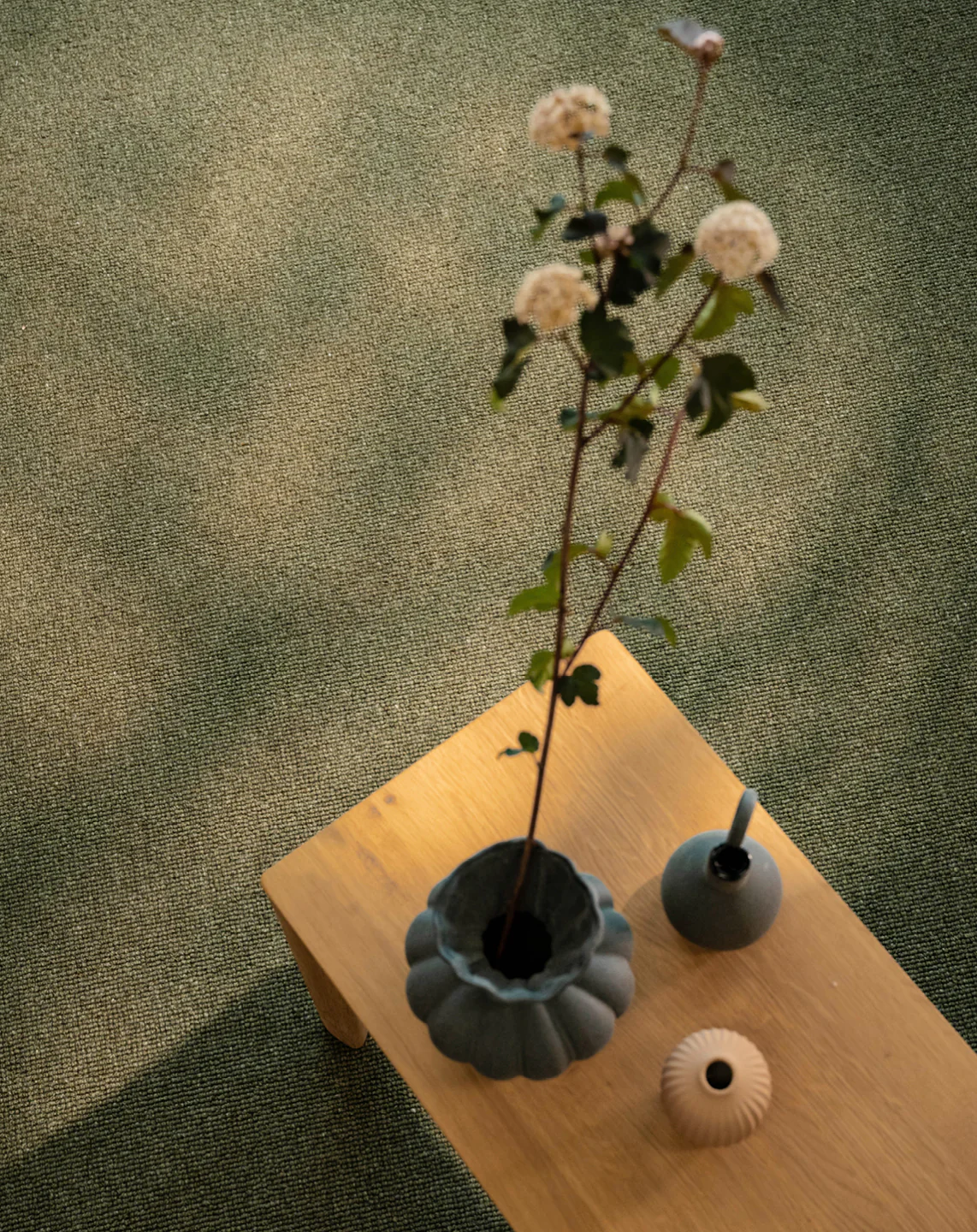 Hause - Image 2