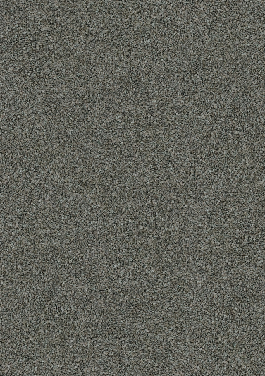 Hilton - Image 13