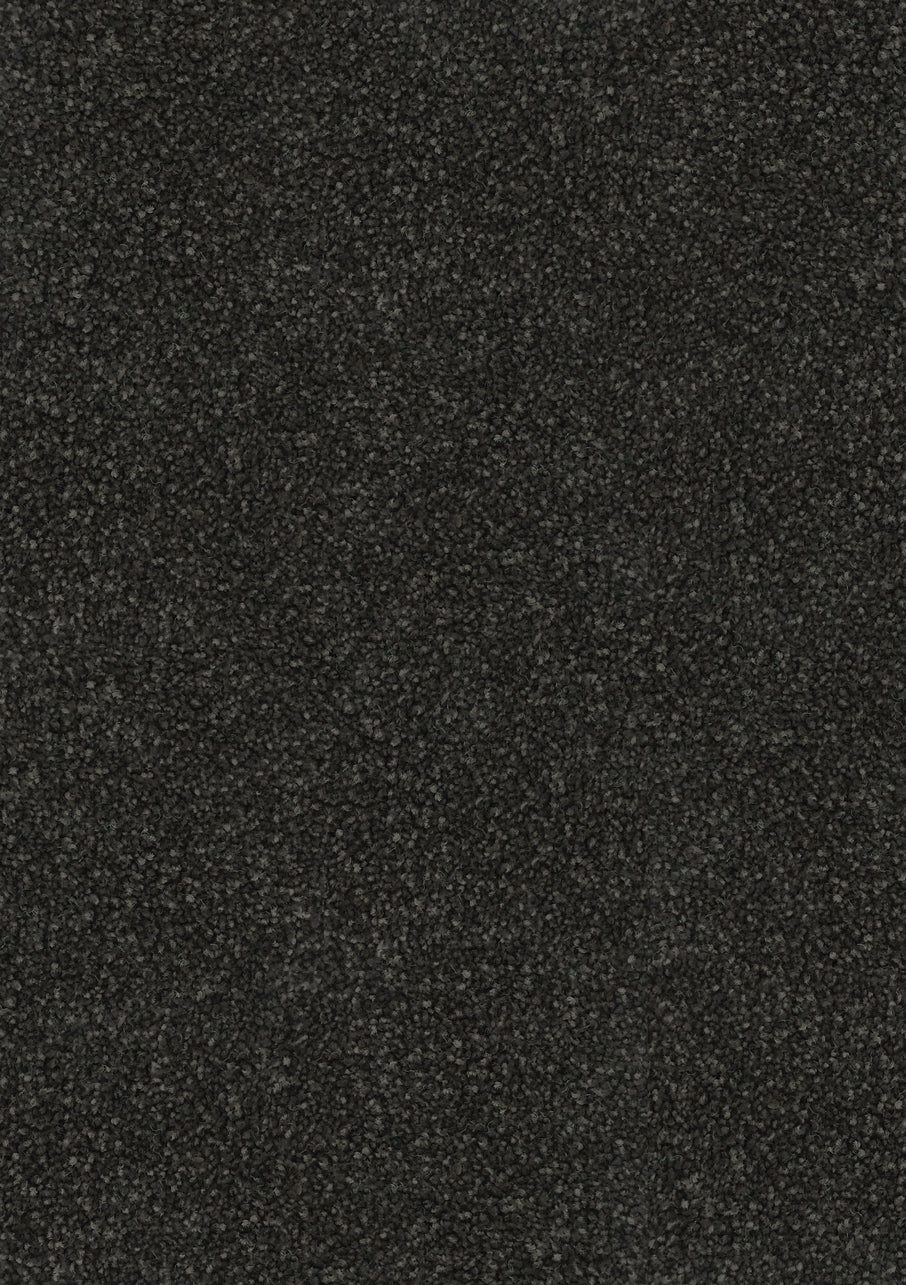 Hilton - Image 14