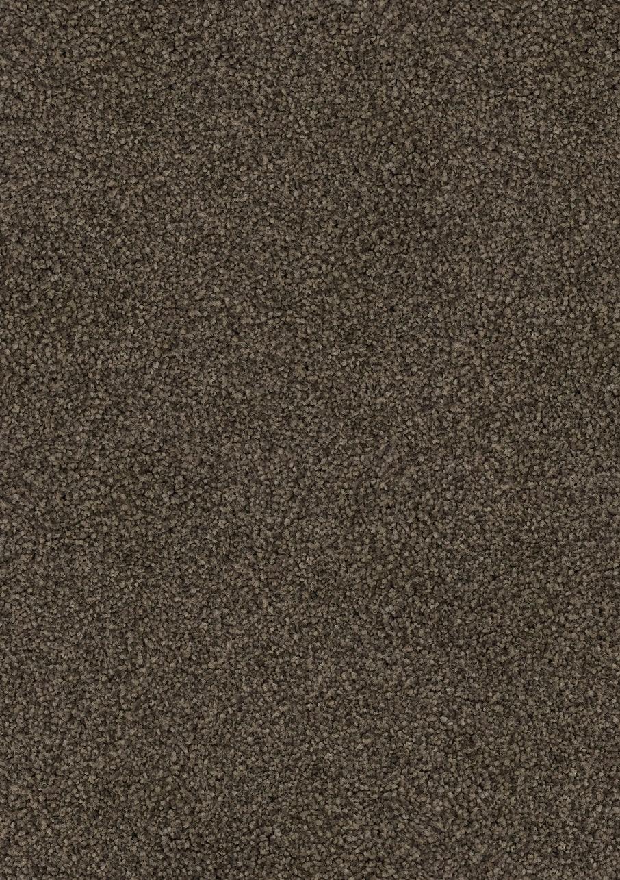 Hilton - Image 15