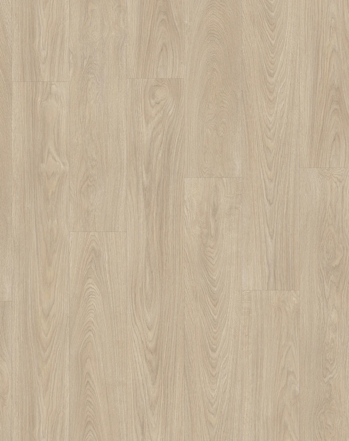 Intoo Plank - Image 3