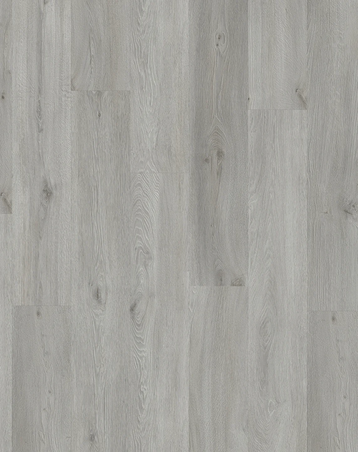 Intoo Plank - Image 5