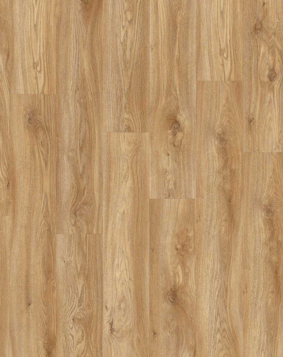 Intoo Plank - Image 6