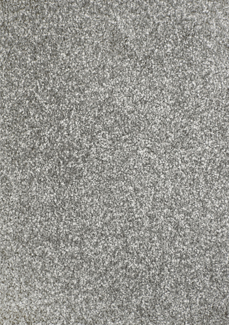 Kauri - Image 10