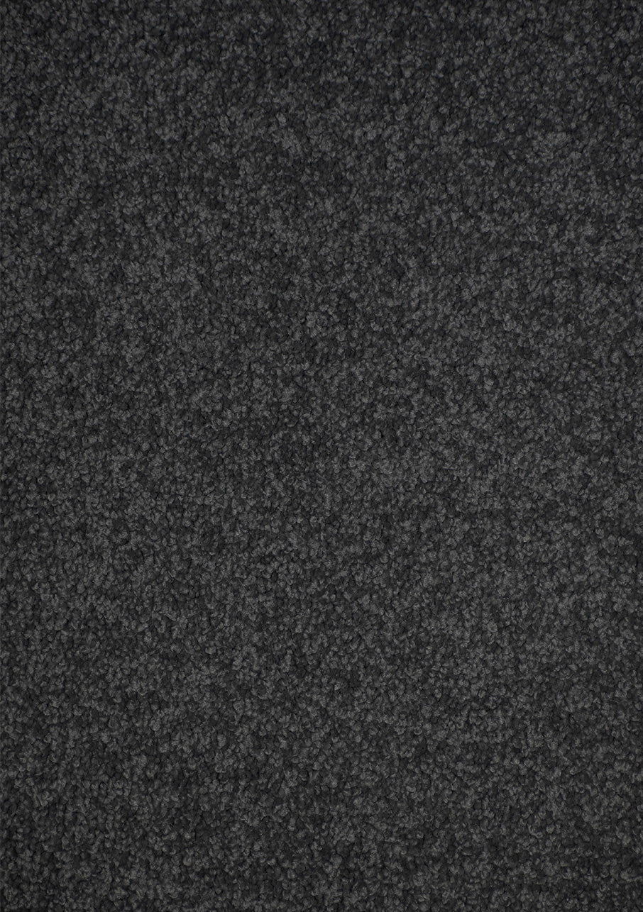 Kauri - Image 11