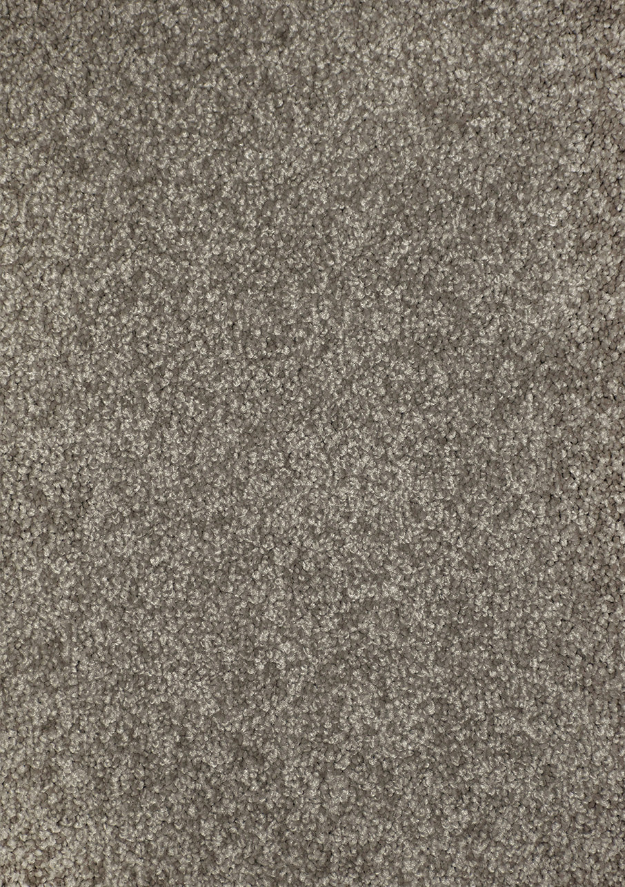 Kauri - Image 3