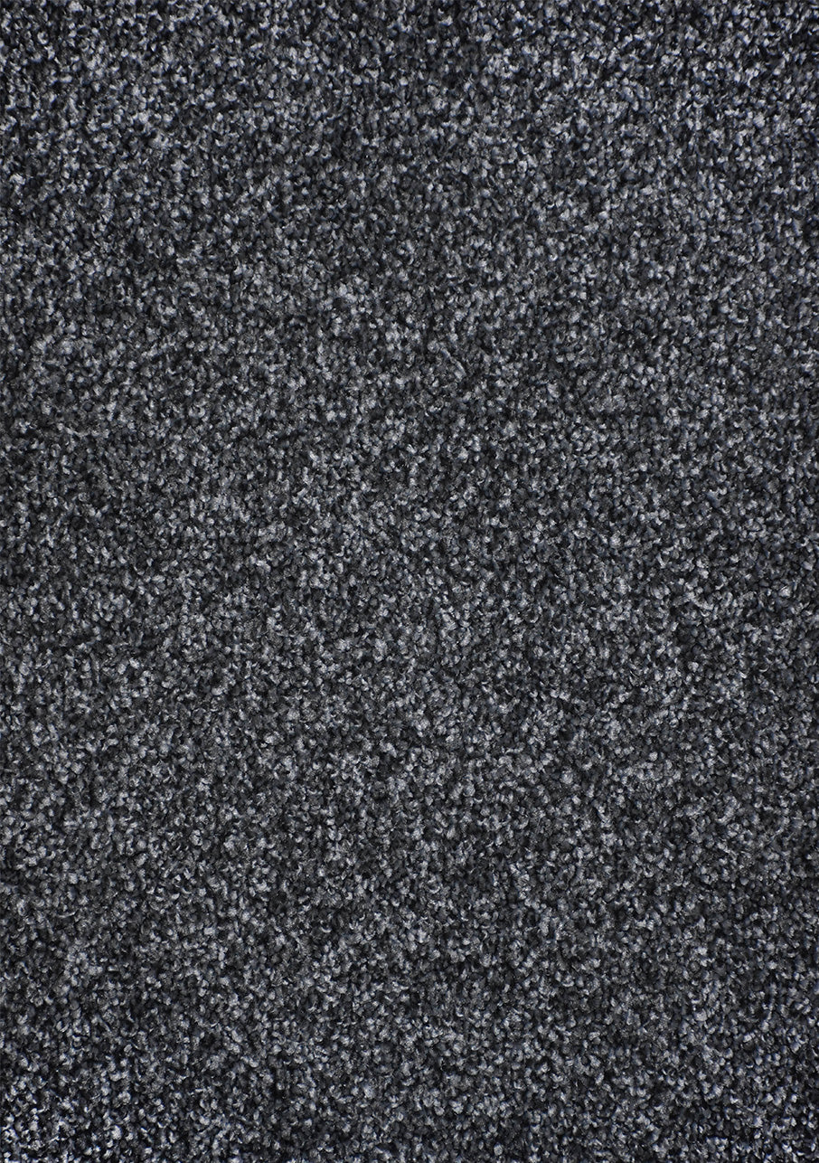 Kauri - Image 4