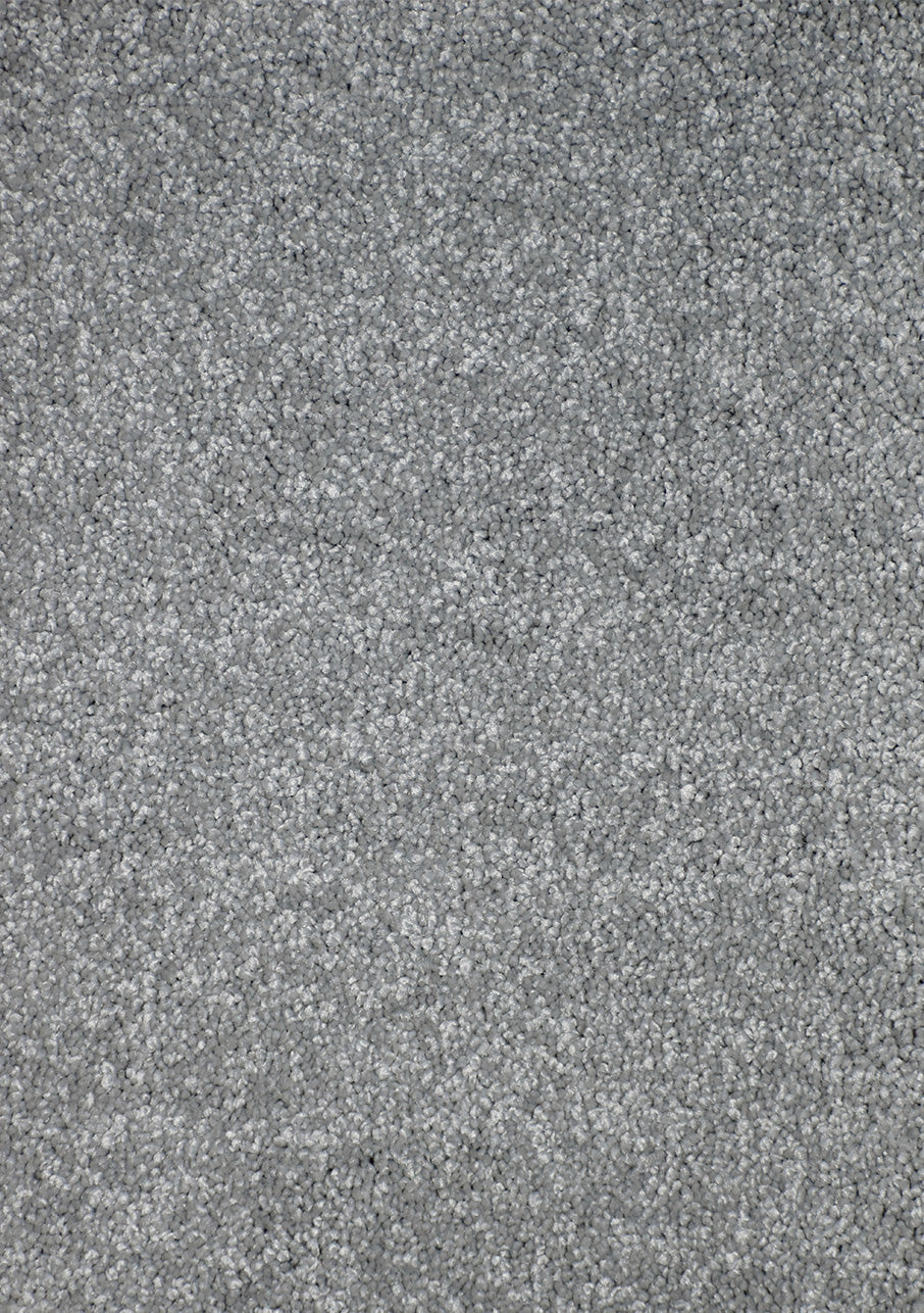 Kauri - Image 5