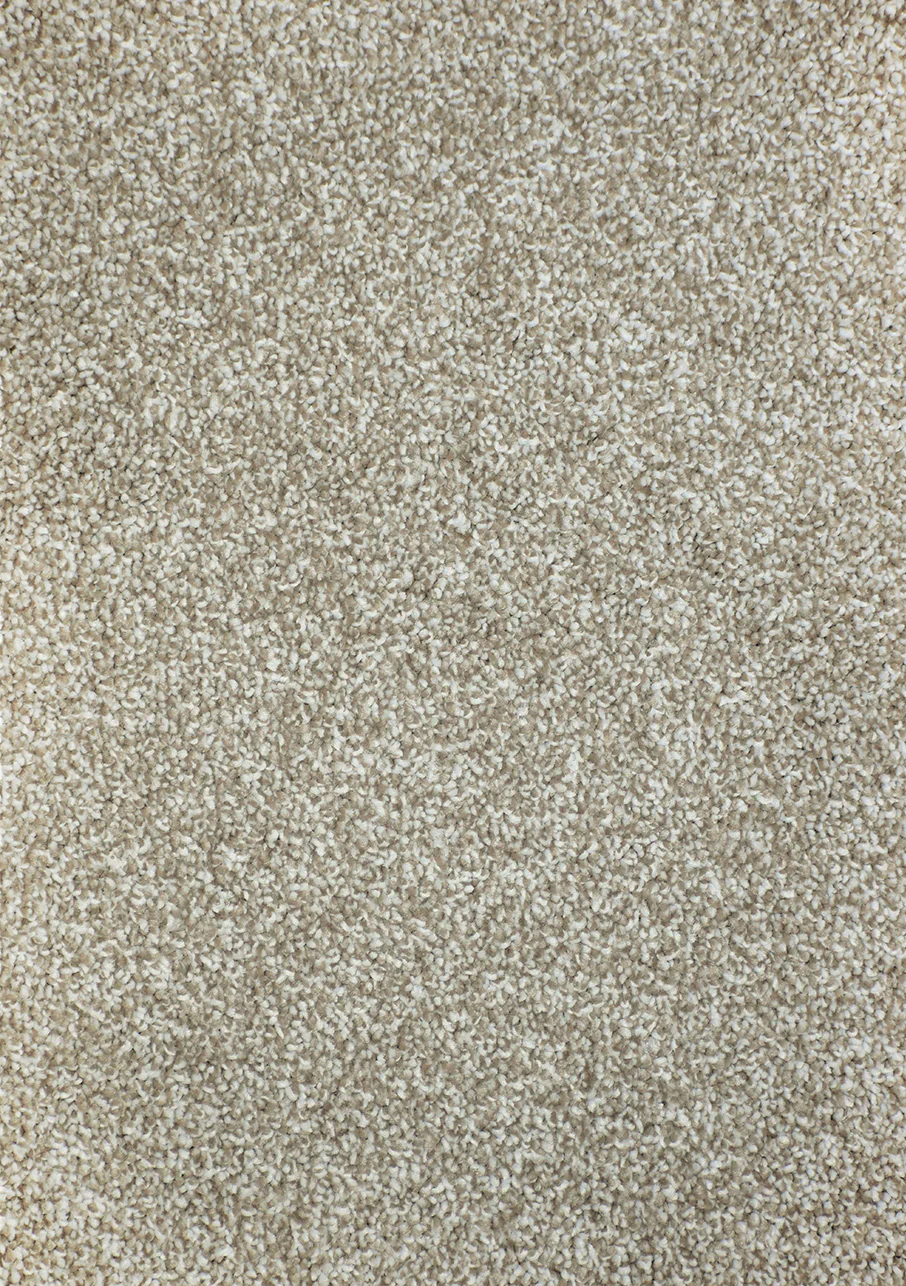Kauri - Image 6