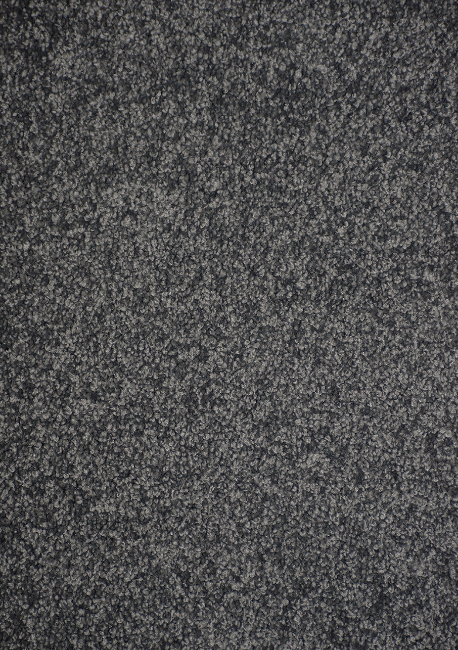 Kauri - Image 7