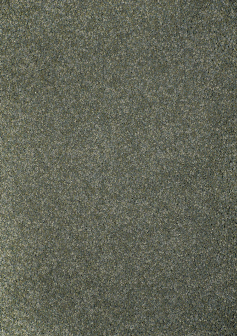 Kauri - Image 9