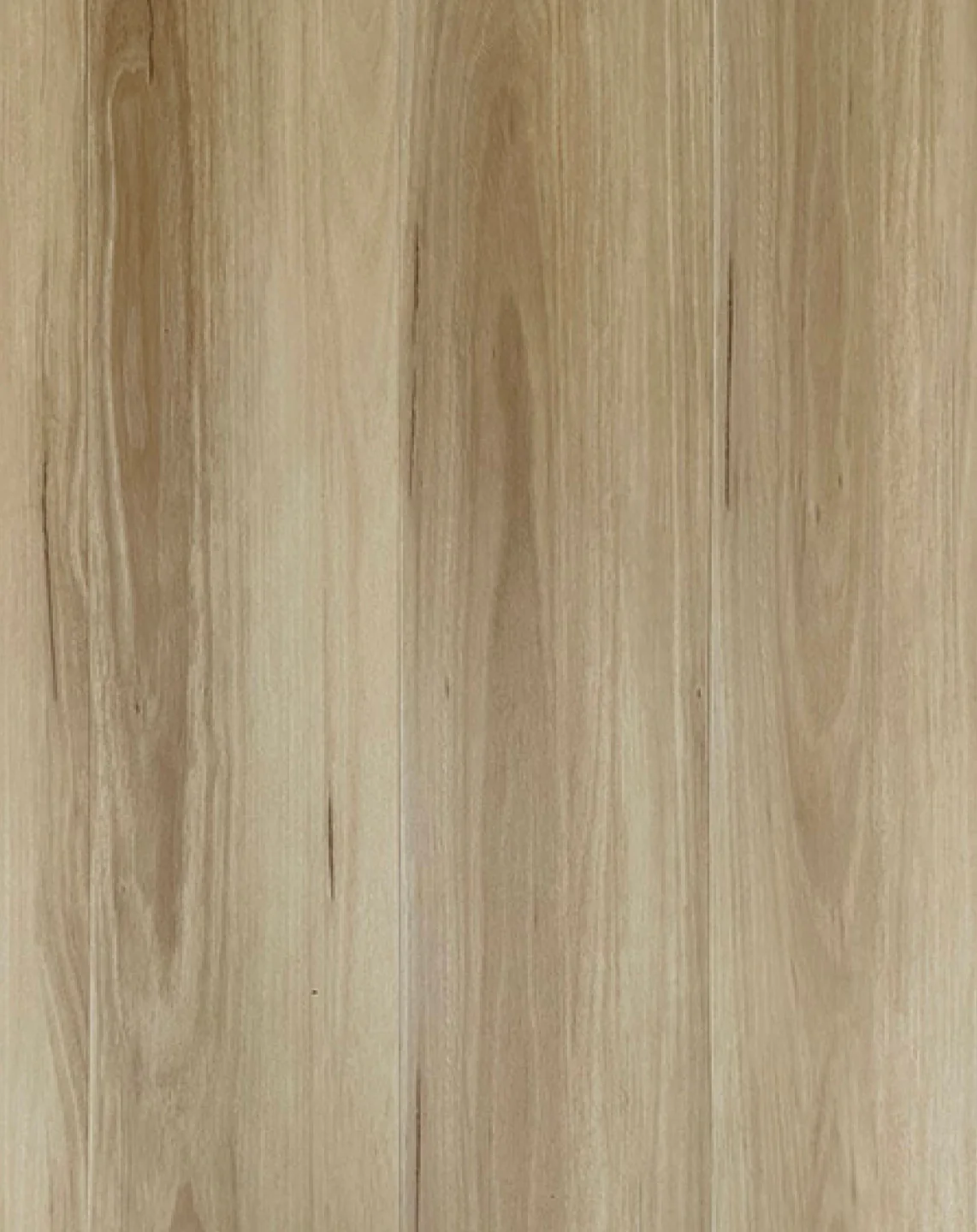 Kenzie Oaks - Image 5