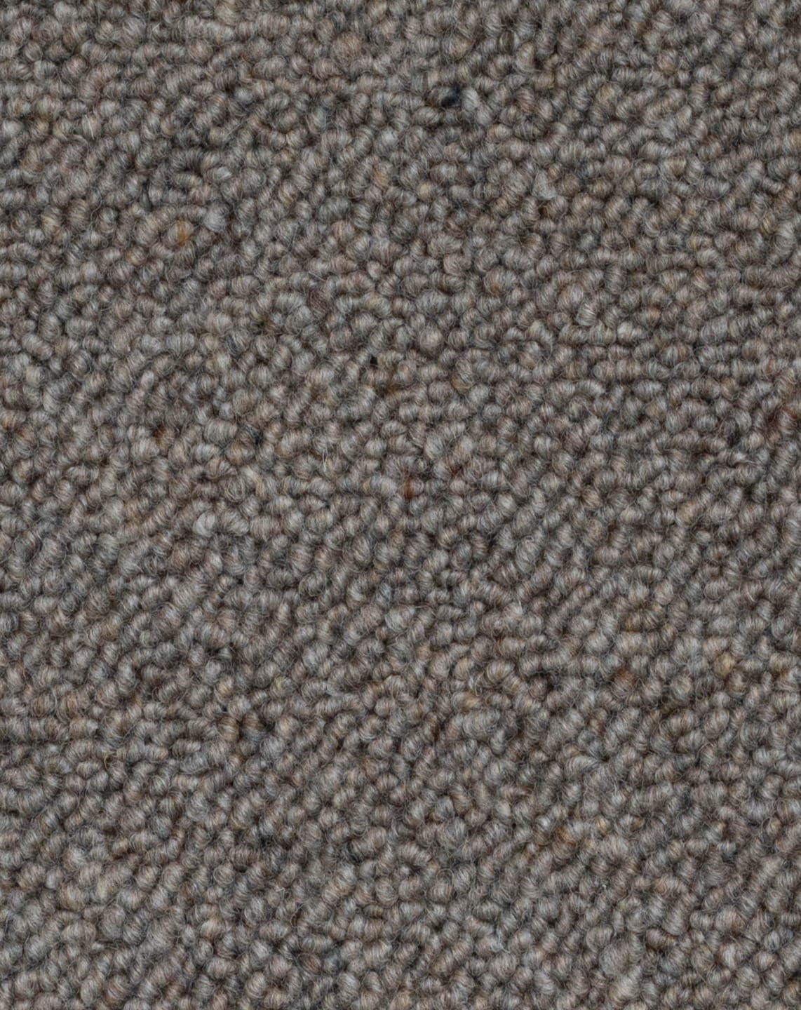 Bremworth Minori - Image 4