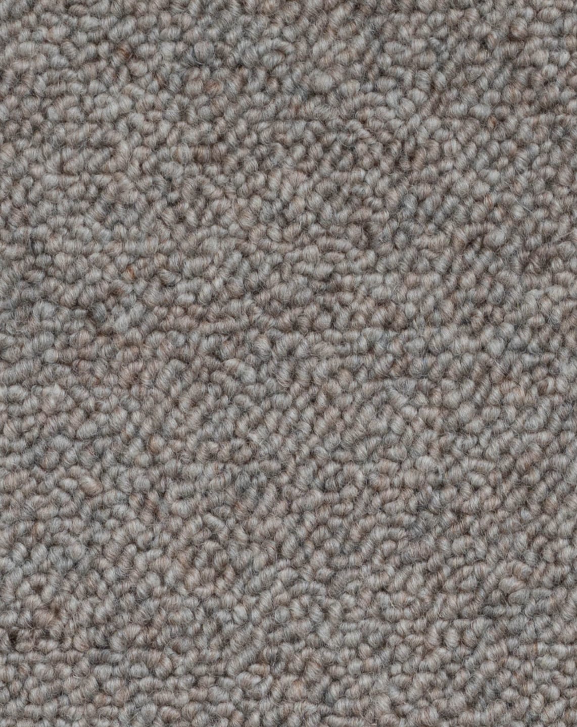 Bremworth Minori - Image 6