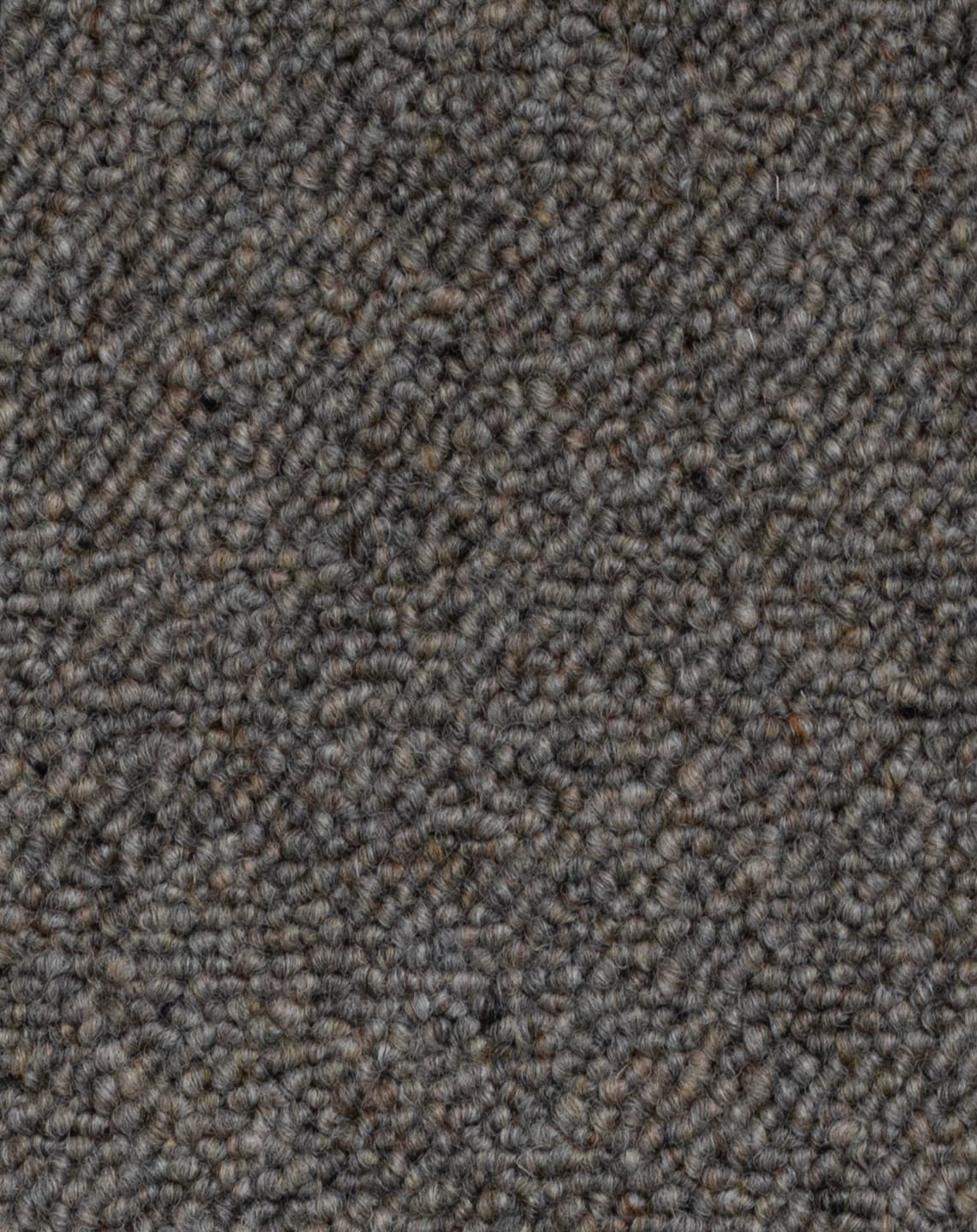 Bremworth Minori - Image 7