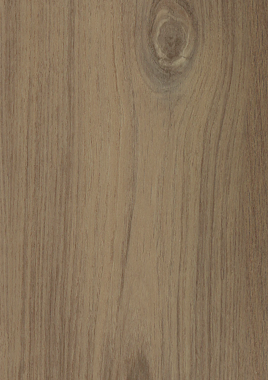 MiPlank - Image 14