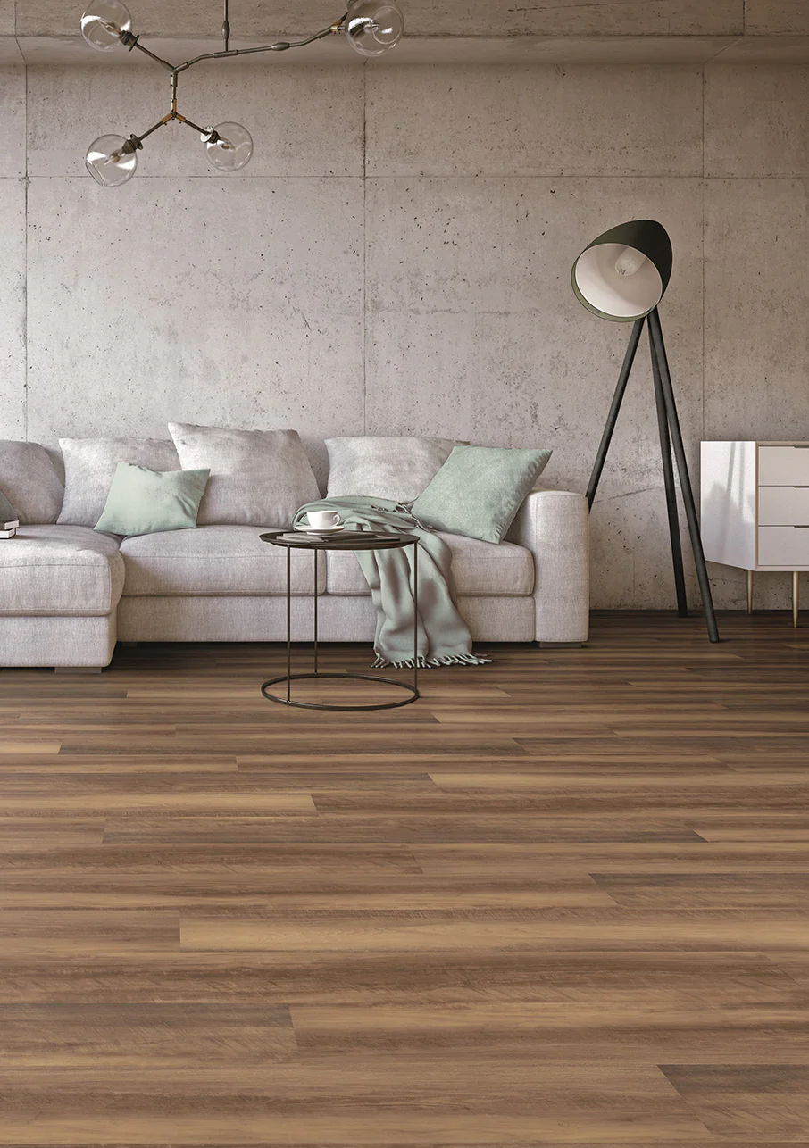 MiPlank - Image 17