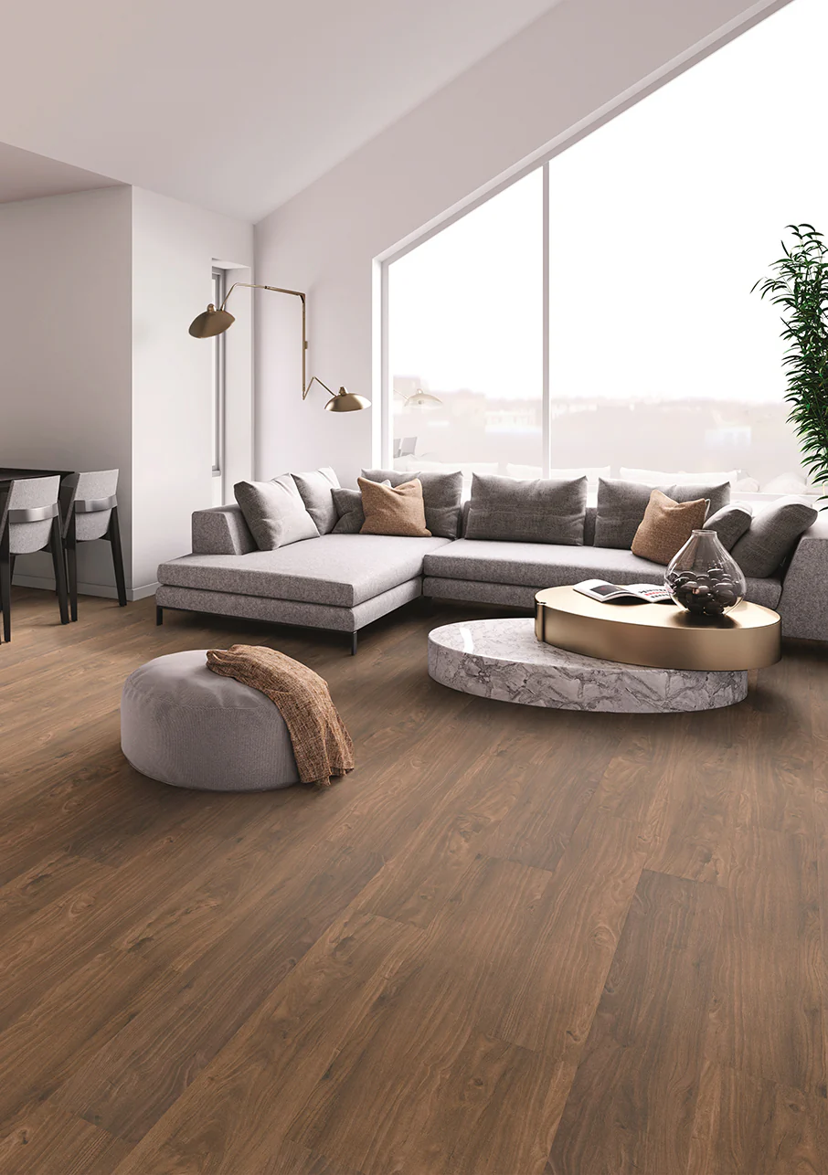 MiPlank - Image 23