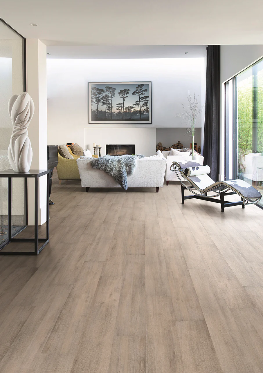 MiPlank - Image 29